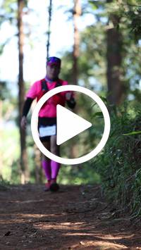 BIB:  <button type="button" onclick="openModal(26568641)" class="btn btn-primary btn-sm float-right" data-toggle="modal" data-target=".modal-high-quality">
                <i class="fa fa-download"></i> Download
                </button>